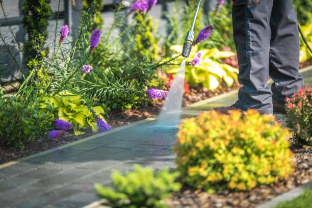 Best Pool Deck Cleaning  in Biglerville, PA